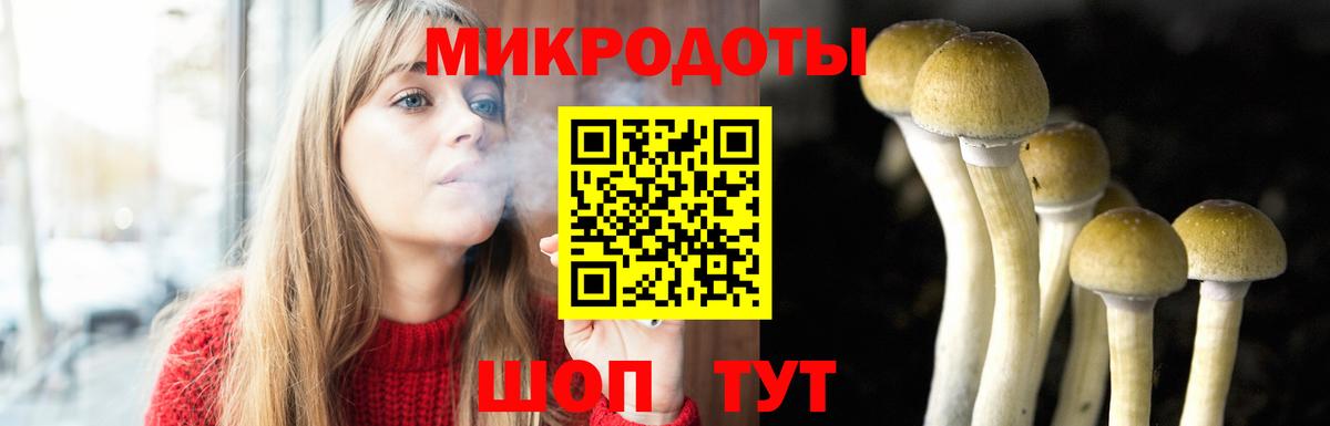 Томск  Галлюциногенные грибы Cubensis  Вход с VPN  Галлюциногенные грибы MAGIC MUSHROOMS 